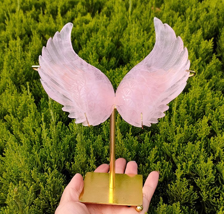 Crystal and mineral display with organized specimens and inventory