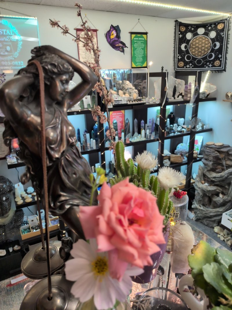 Crystal and mineral display with organized specimens and inventory