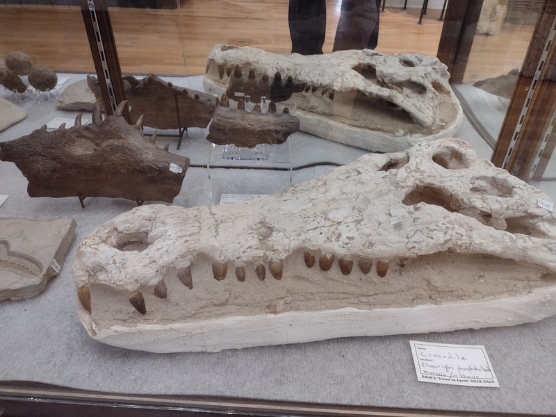 Crystal and mineral specimens including quartz, amethyst, and calcite varieties