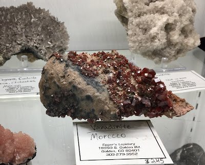 Display featuring crystal points, polished stones, and raw mineral specimens