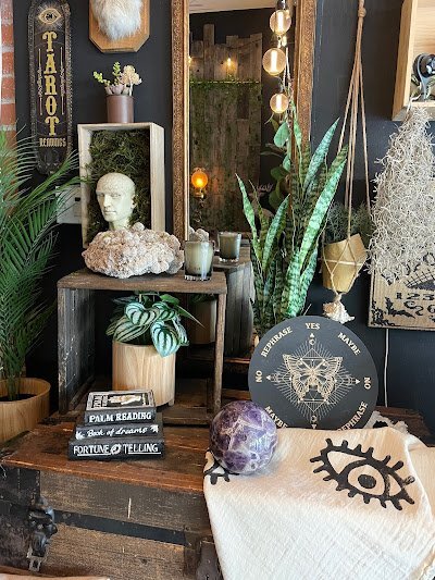 Collection of tumbled stones, raw minerals, and crystal clusters