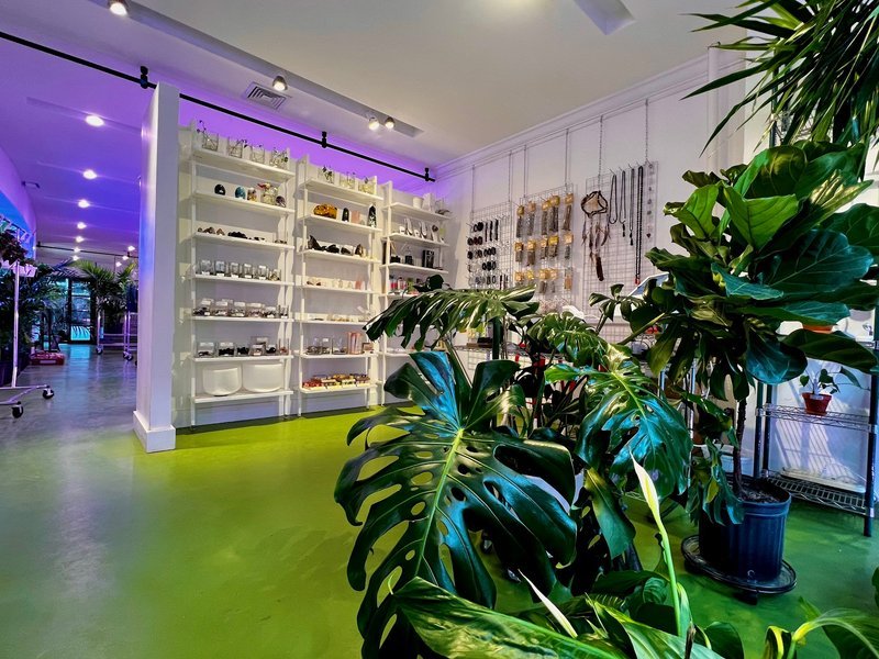 Interior view showcasing crystal towers, spheres, and carved stone pieces