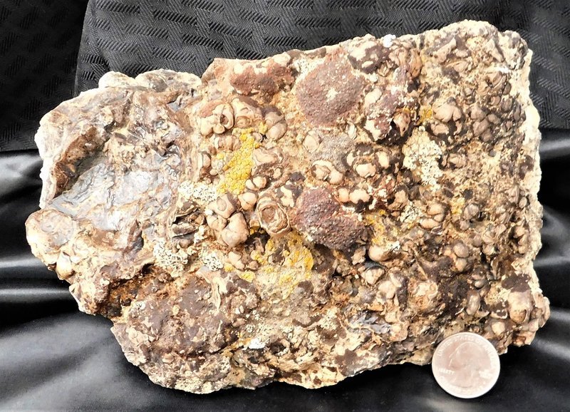 Crystal and mineral specimens including quartz, amethyst, and calcite varieties