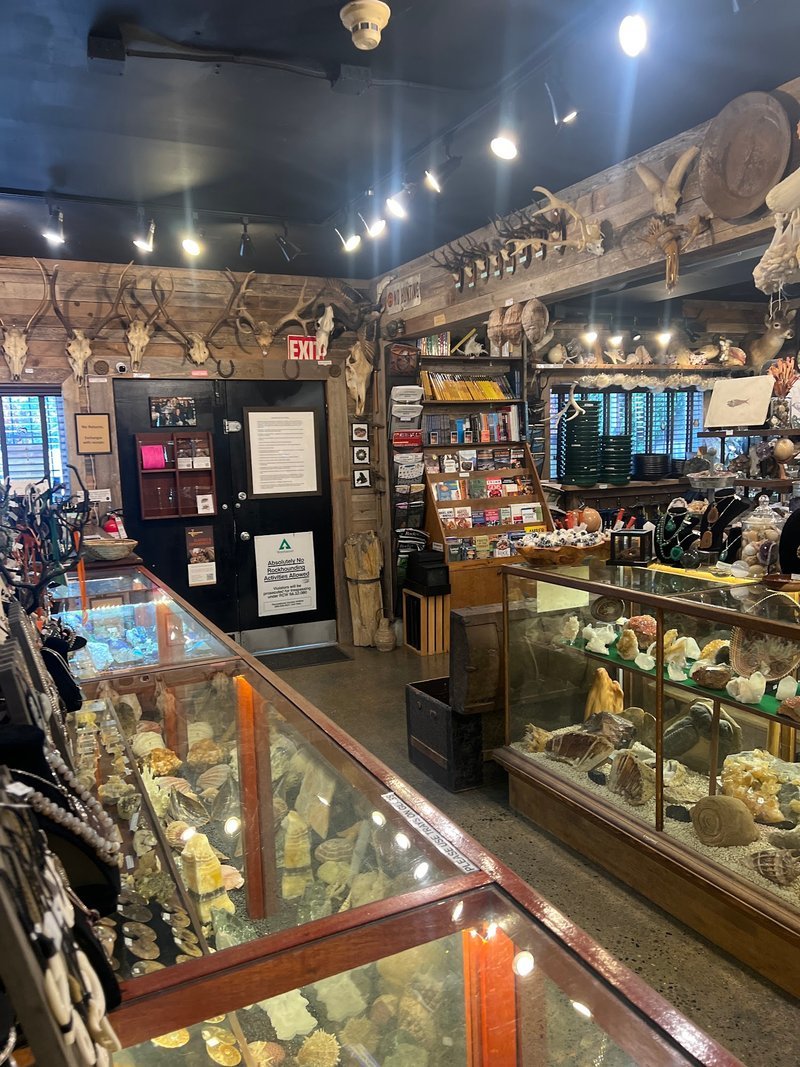 Store interior displaying crystals, minerals, and metaphysical supplies