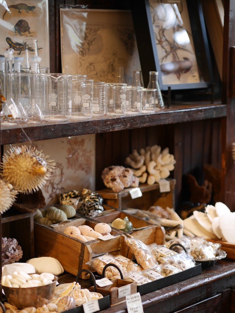 Curated selection of gemstones, crystals, and metaphysical supplies