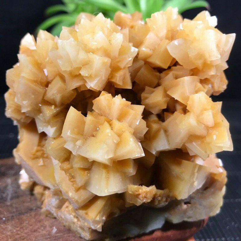 Shelving display featuring amethyst, quartz, and various crystal specimens