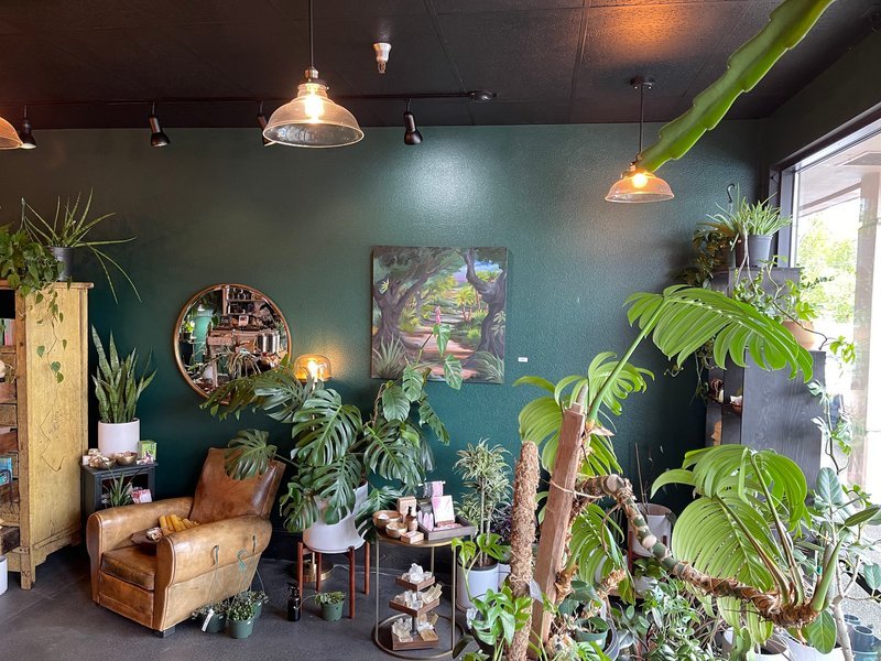 Crystal and mineral specimens including quartz, amethyst, and calcite varieties